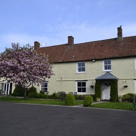 The Lawns Tea Room And B&B Ashcott Exterior photo