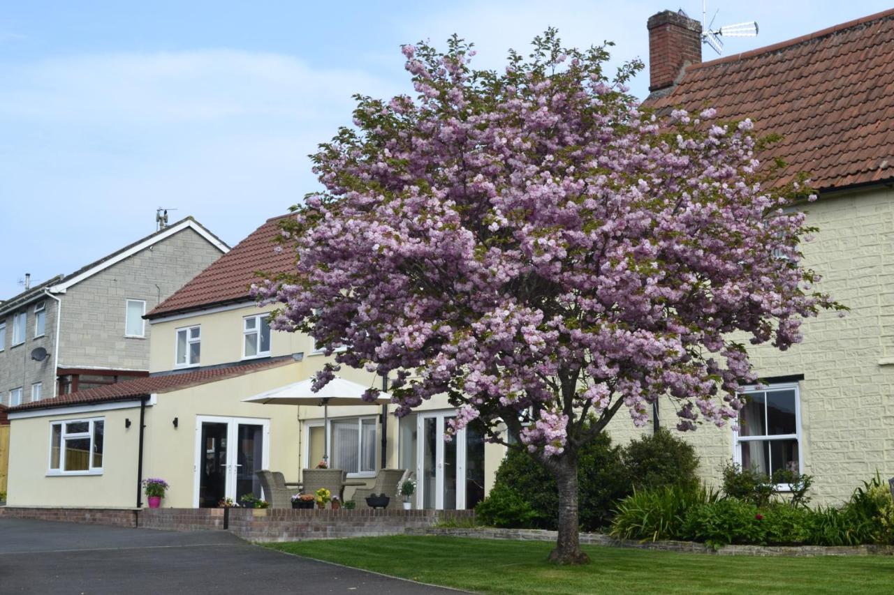 The Lawns Tea Room And B&B Ashcott Exterior photo
