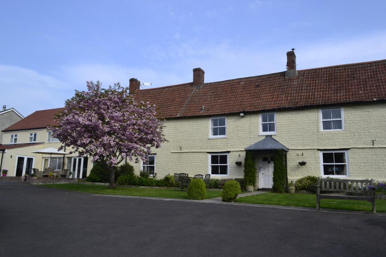 The Lawns Tea Room And B&B Ashcott Exterior photo