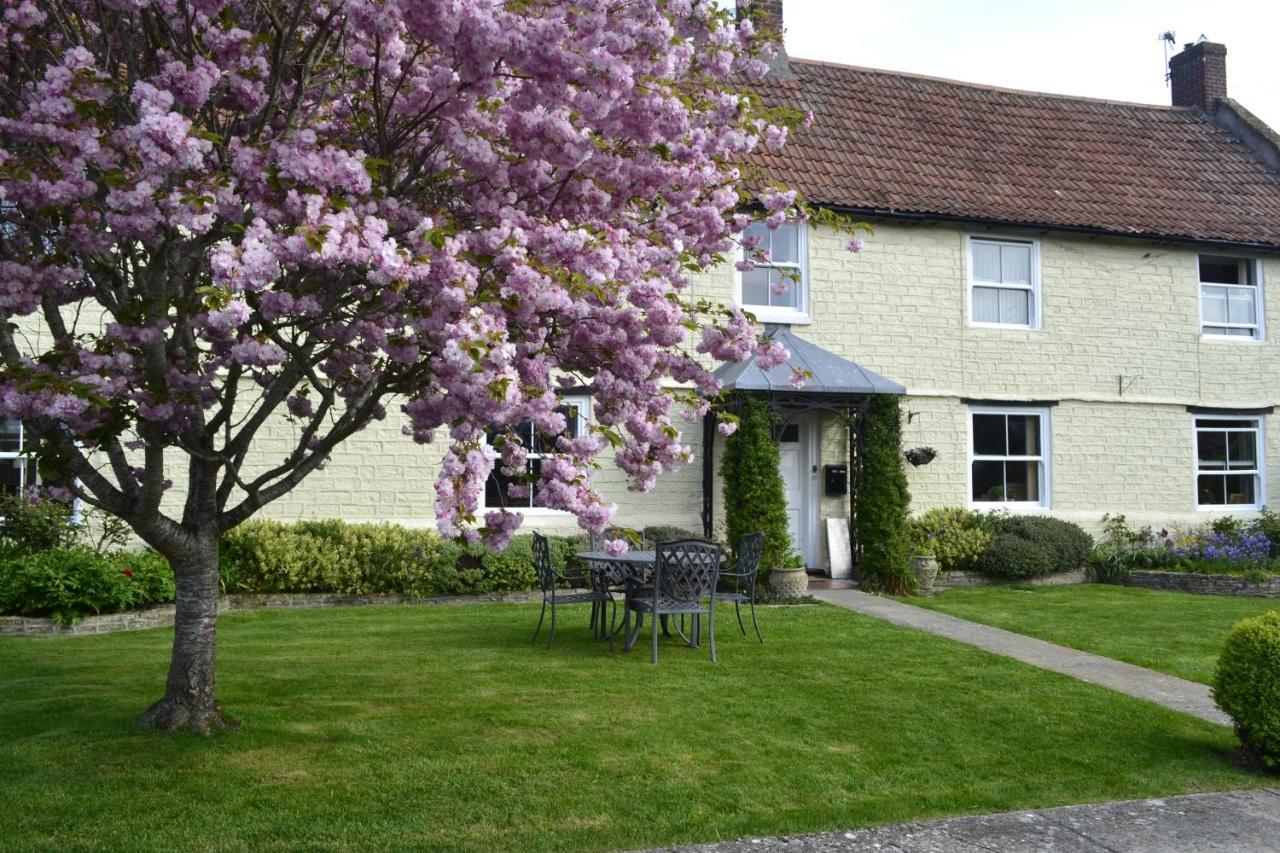 The Lawns Tea Room And B&B Ashcott Exterior photo